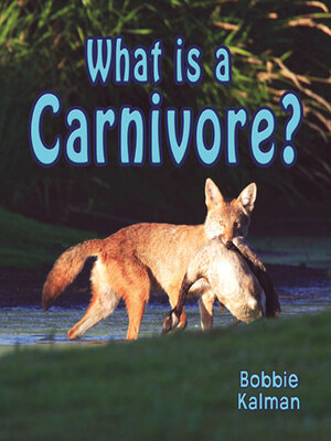 cover image of What is a Carnivore?